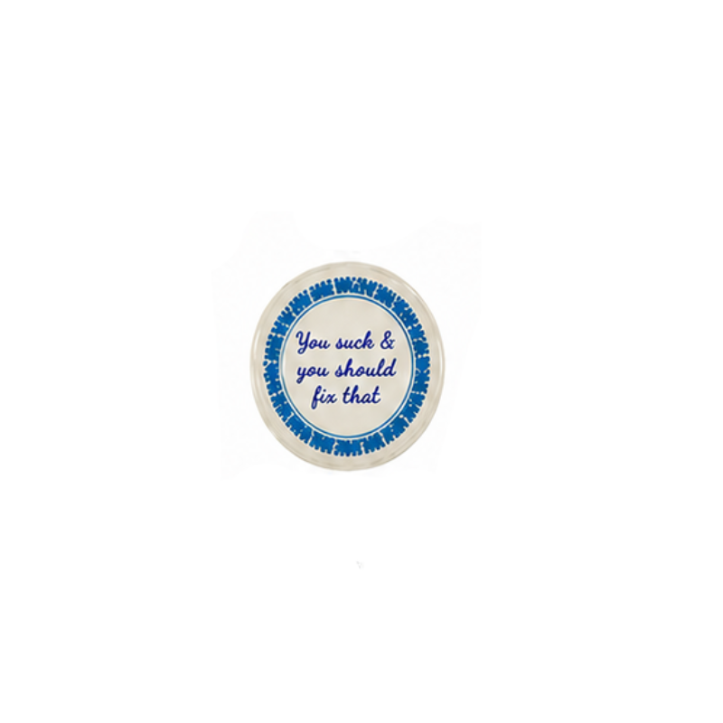 Round hand-painted stoneware magnet with blue script saying "You suck & you should fix that".