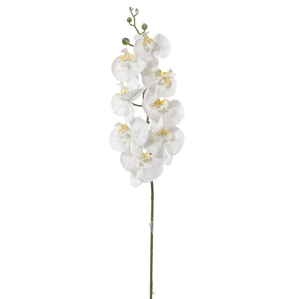 34-inch spray arrangement featuring white Phalaenopsis orchid blooms on green stems.