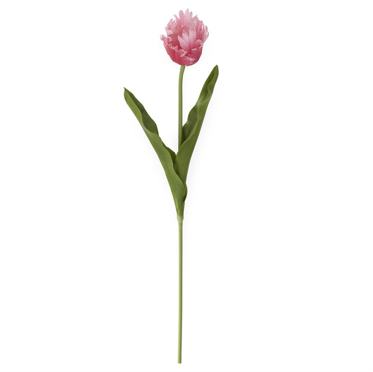 A 23-inch real touch parrot tulip artificial plant with a plastic and PU wire structure in green.