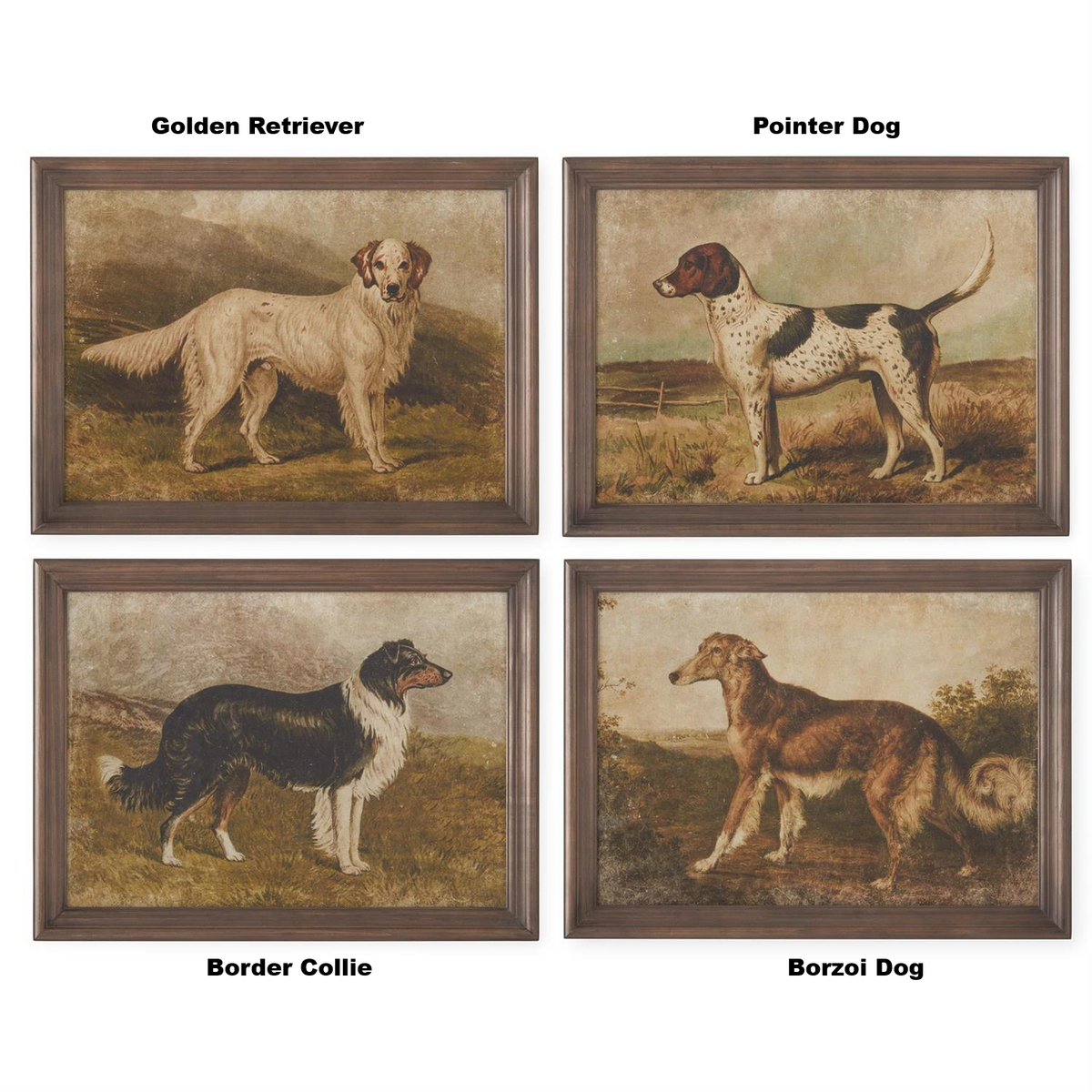Four framed vintage-style dog prints: Golden Retriever, Pointer, Border Collie, and Borzoi.