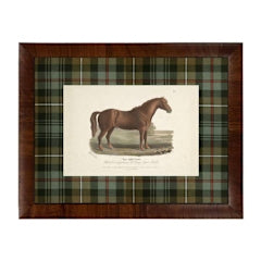 Vintage horse bookplate illustration matted in a green and brown tartan pattern with a wood frame.
