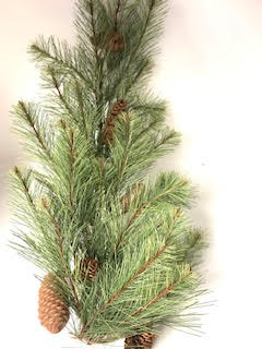 26-inch long needle pine swag with natural pine cones on a white background.
