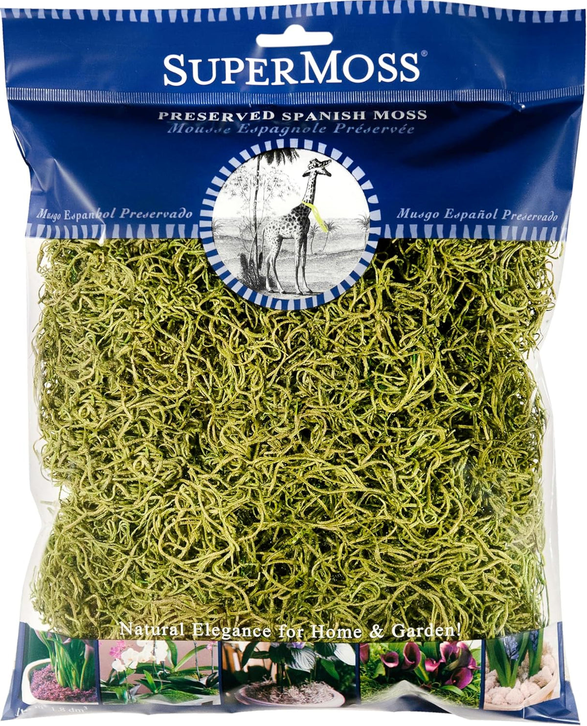 Preserved Spanish moss in pear shape with natural green color