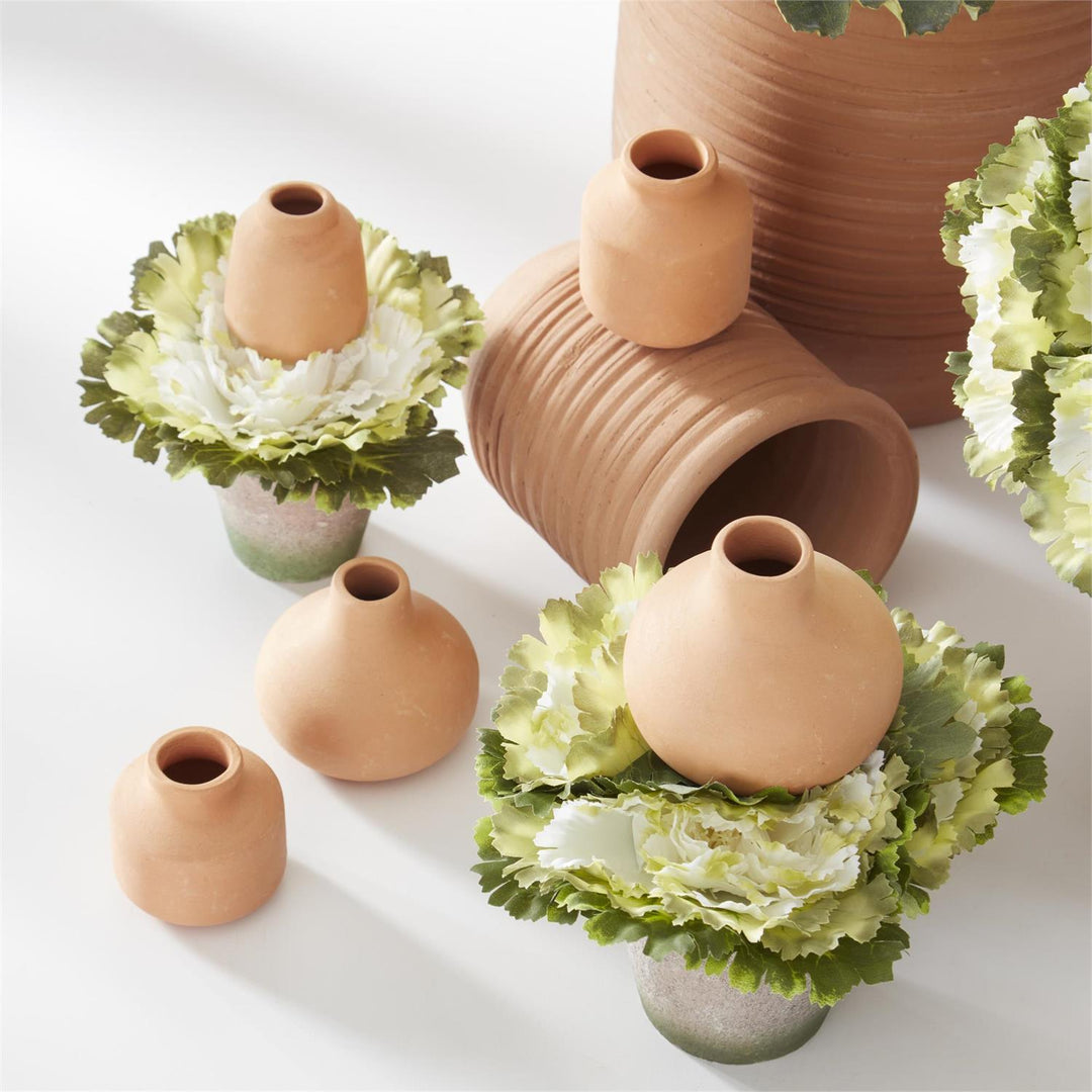 6 Inch Cabbages in Pot