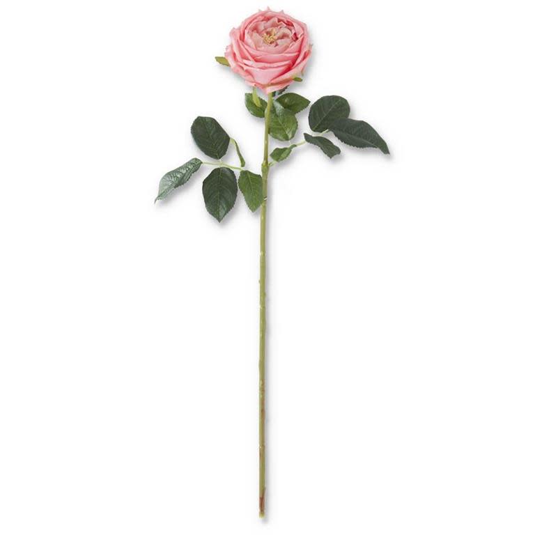 24 inch real touch dark pink Austin rose stem with green leaves on a white background.