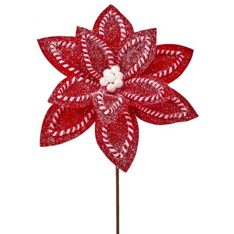 A single Sugar/Spice poinsettia stem with a 12-inch flower head and green foliage on a 22-inch branch.