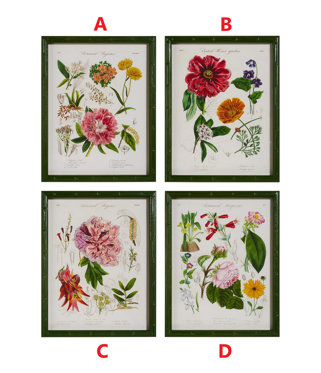 16" Floral Framed Wall Art - Sold Individually