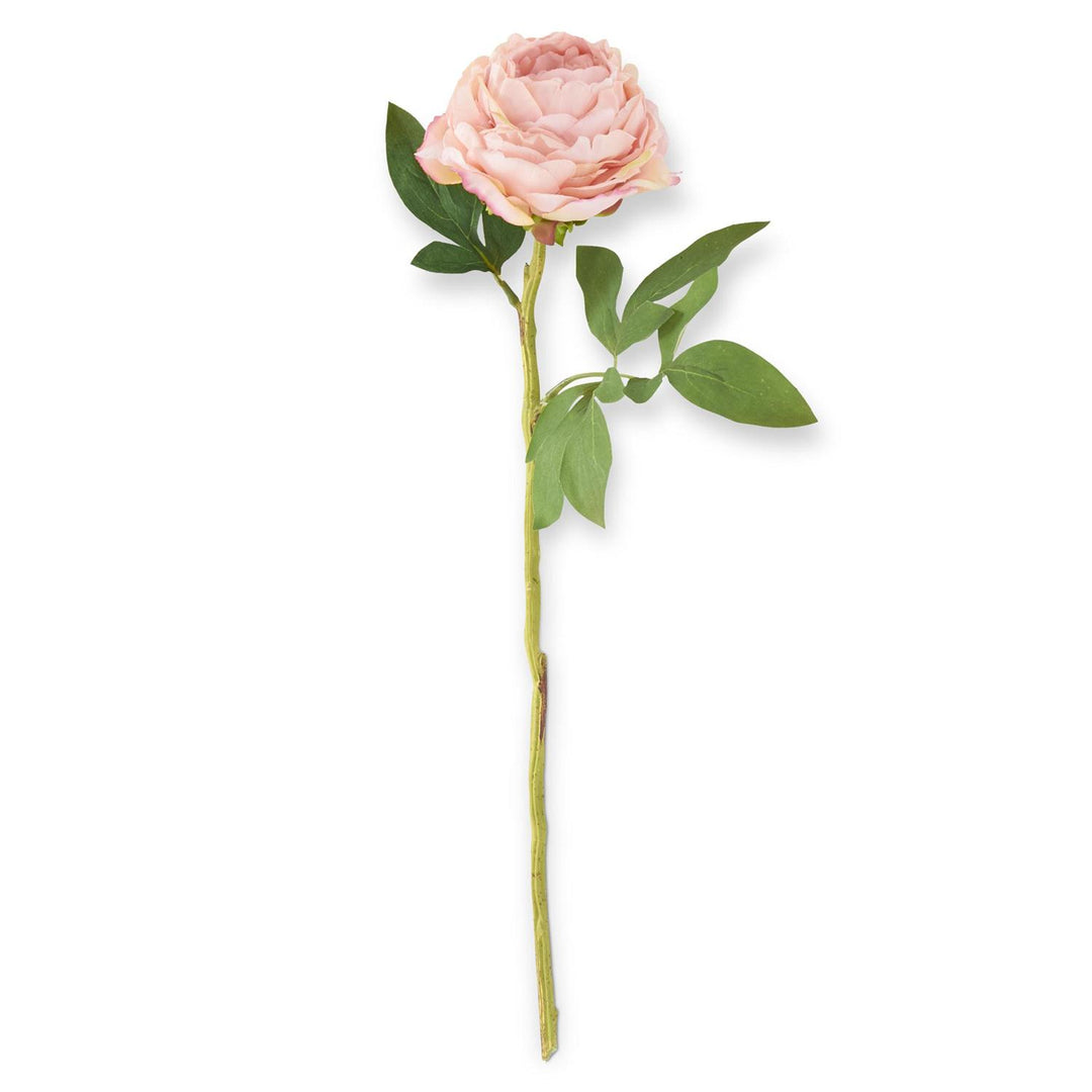 27 Inch Pink Peony Stem