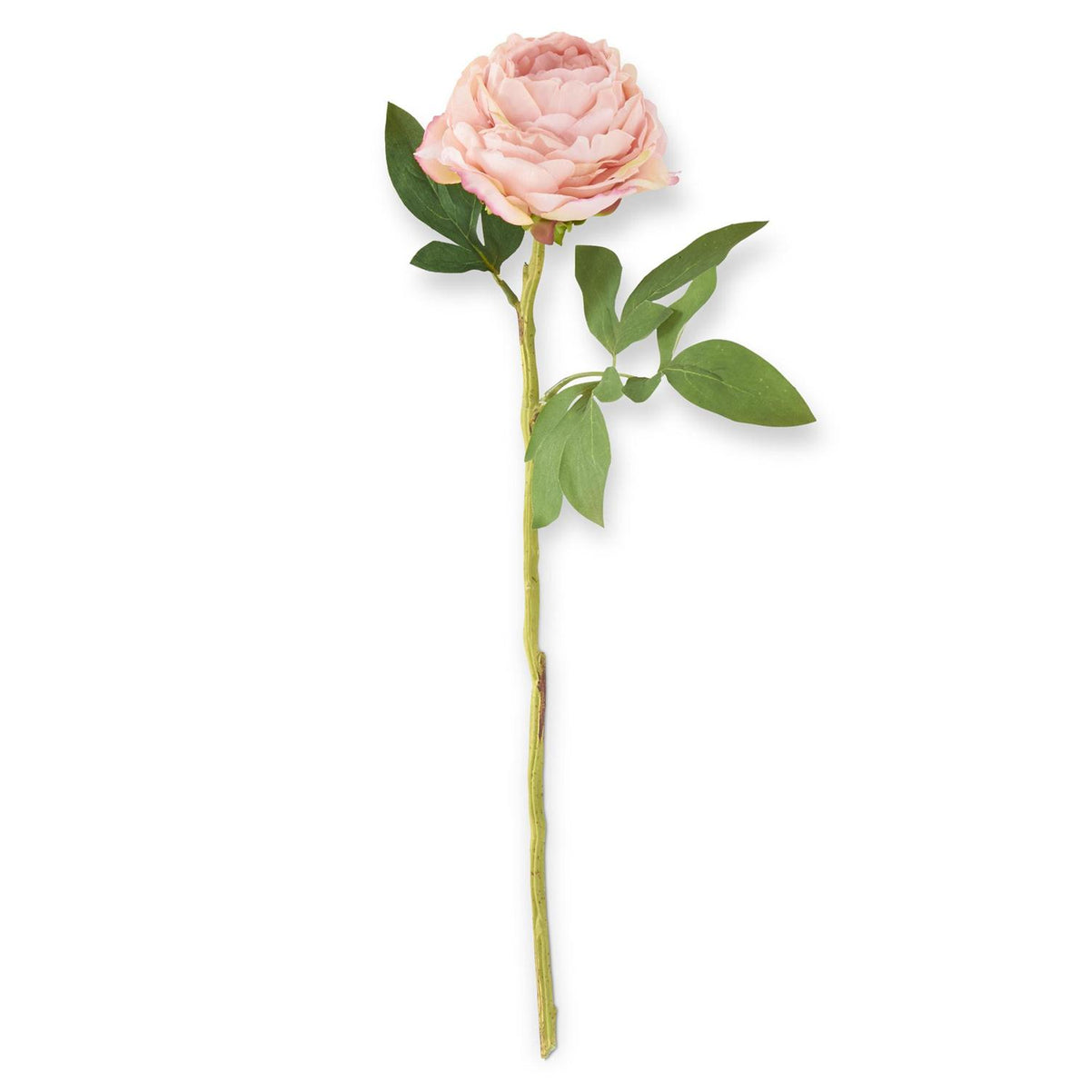 Pink peony flower head on a plastic stem with iron wire support
