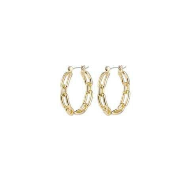 A pair of gold chain link hoop earrings against a white background.