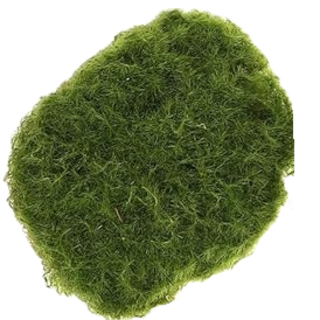 Five-inch green polyethylene moss ball decorative plant sold individually.