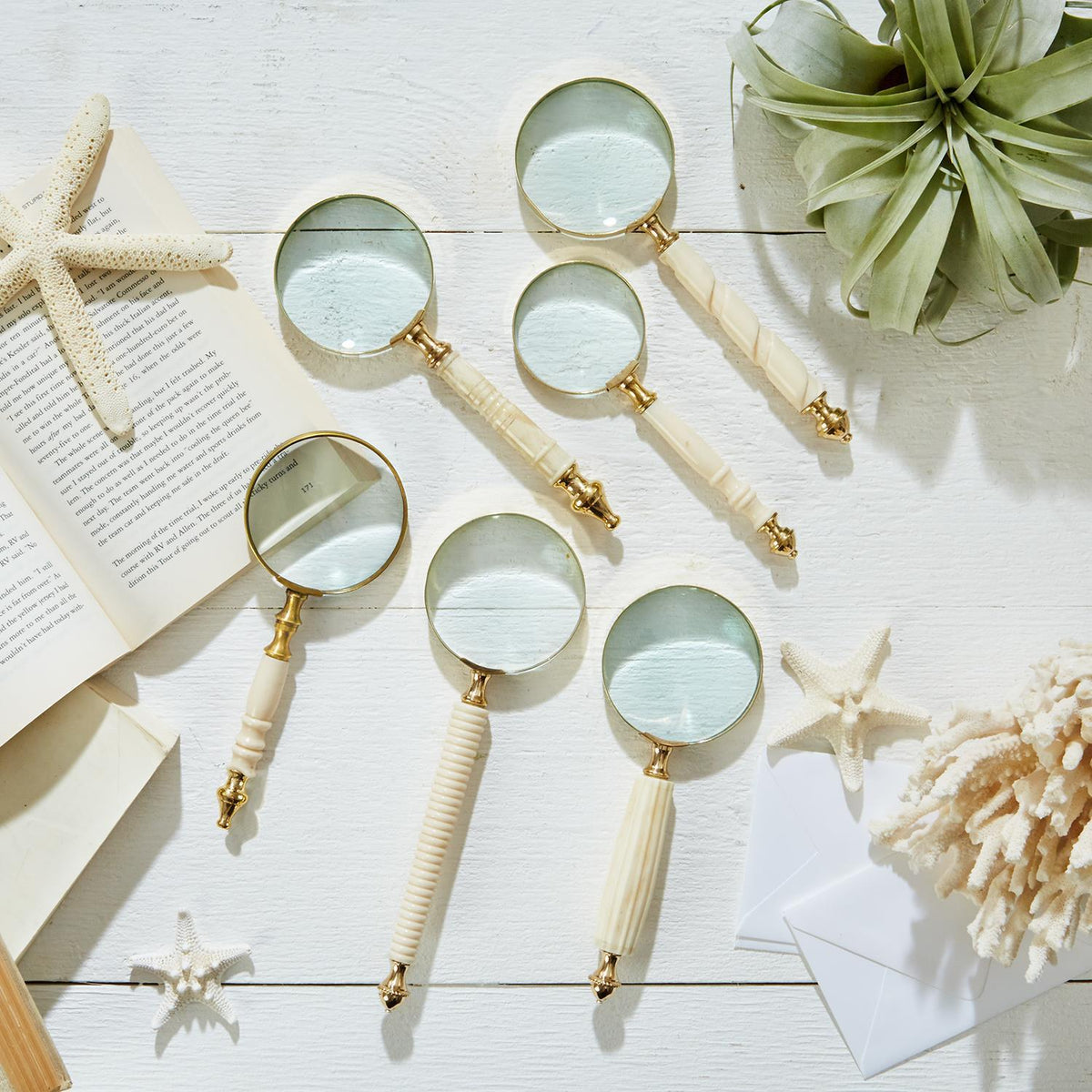 Ivory handle magnifying glass with gold brass detail offering 2x magnification.