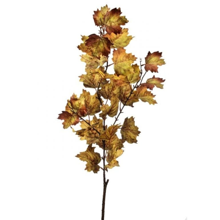 47" Northern Vermont Maple Spray