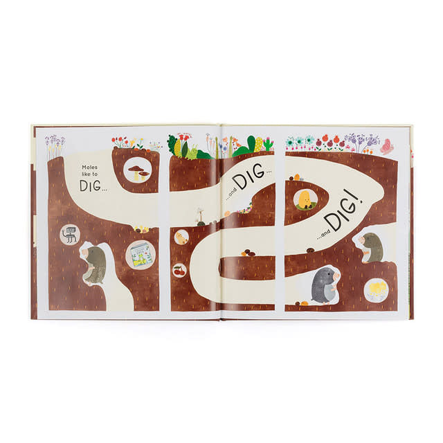 Paper board book cover featuring Muswell Mole holding a golden acorn against an illustrated background.