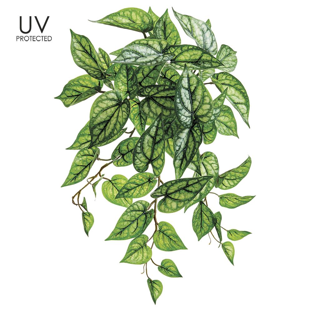 18-inch UV protected PVC peperomia leaf bush in two-tone green with trailing vines.