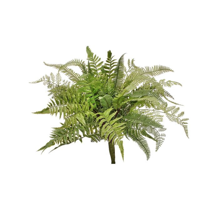 Nat Touch Mix fern plant in a natural woven basket pot with lush green foliage.