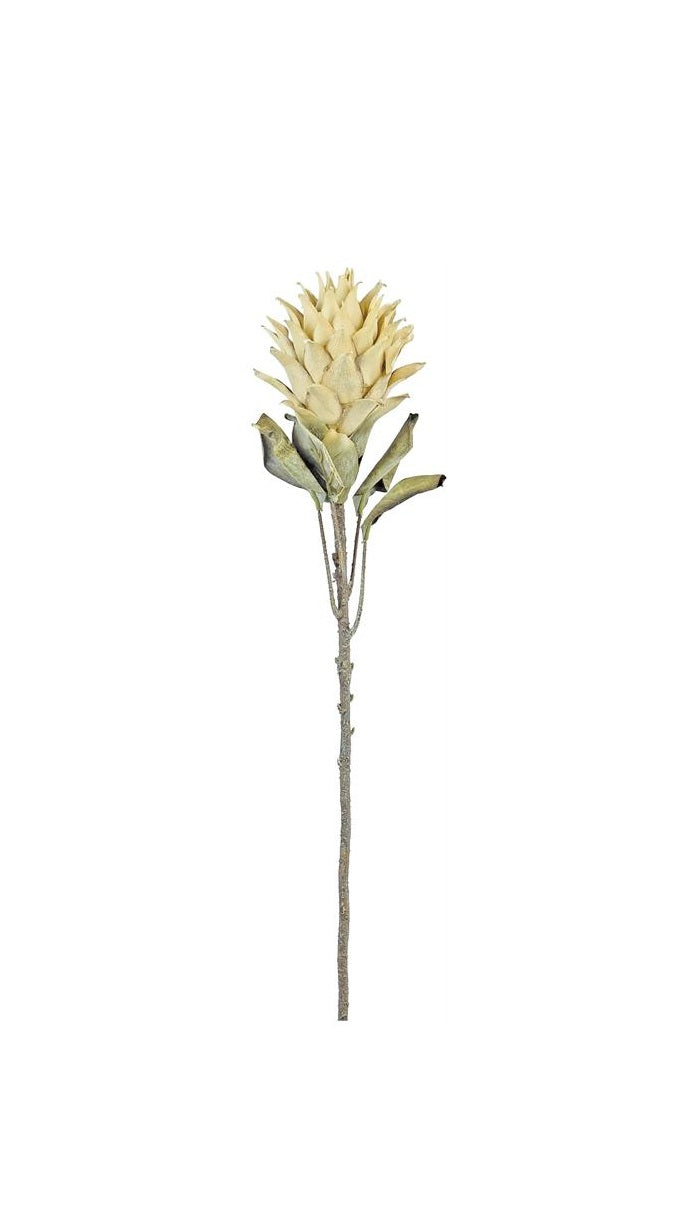 30-inch artificial protea spray with a parchment-colored bloom and a long textured stem.