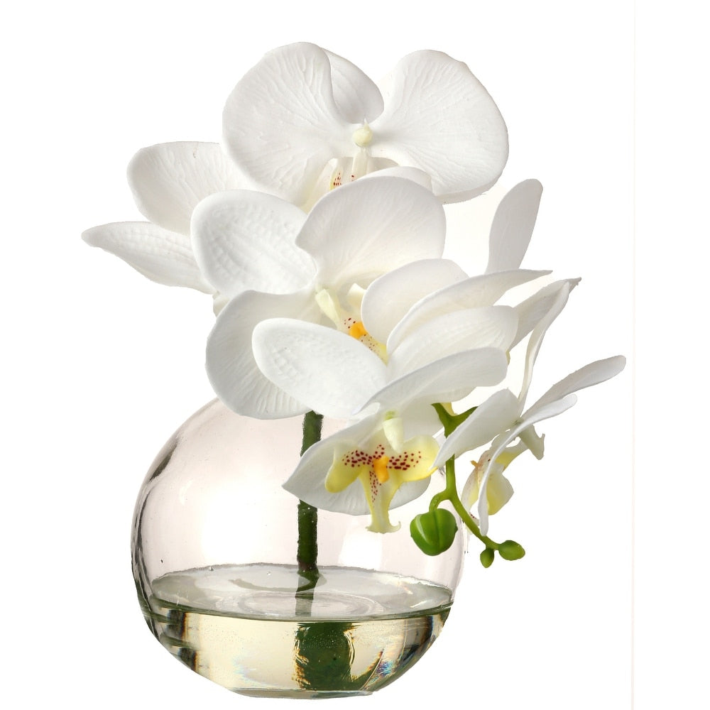 Glass artificial Phaleanopsis orchid in illusion with realistic petals