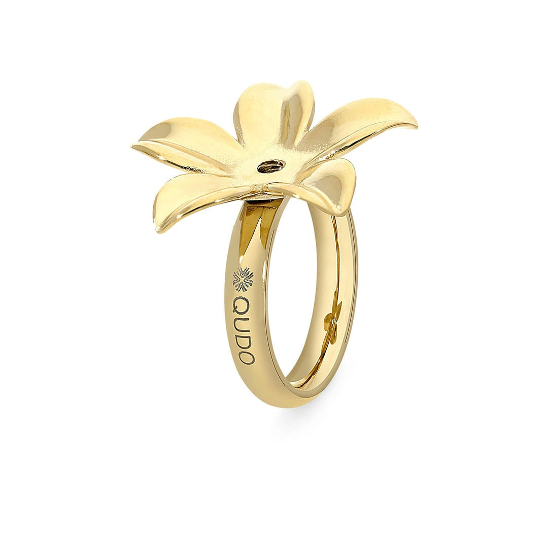 Gold Basic Ring Pescia 25mm