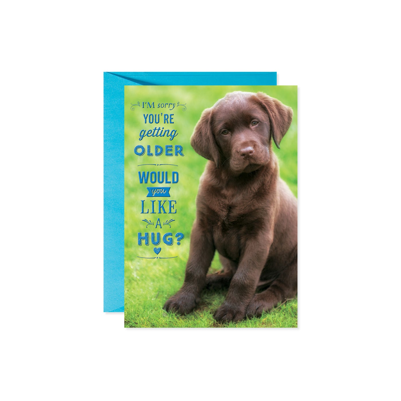 Birthday Hug Puppy card featuring a cute puppy illustration with warm colors on white stock.