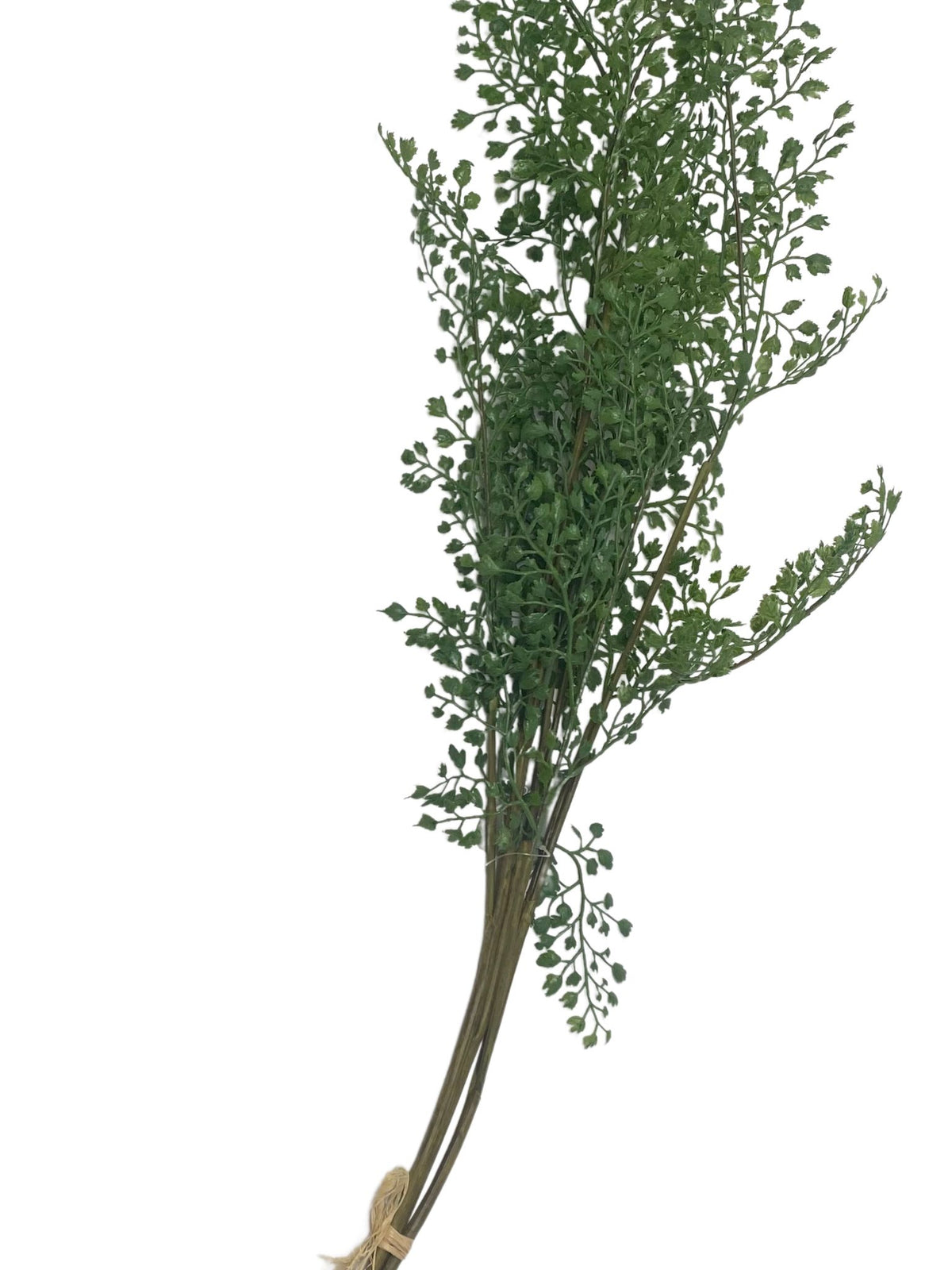 Plastic fern bundle with a natural green leafy appearance standing approximately 29 inches tall.