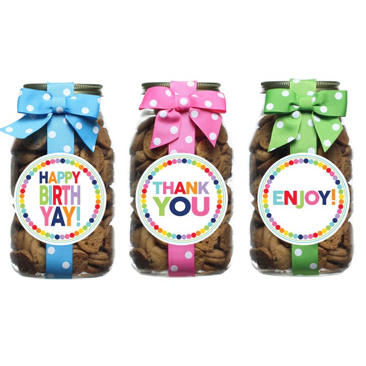 Rainbow Dot Chocolate Chip Cookie Pint Jar
