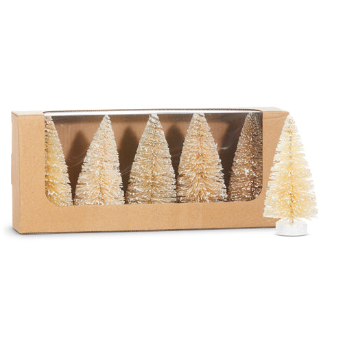 Set of 5 snowy natural bottle brush trees in a brown cardboard display box.