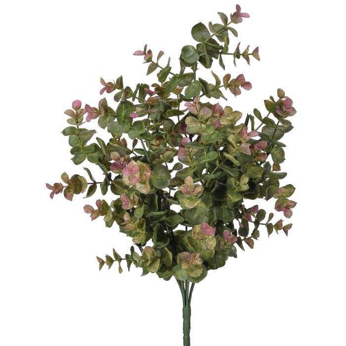 Variegated eucalyptus bush plant with green and cream foliage in a simple pot.