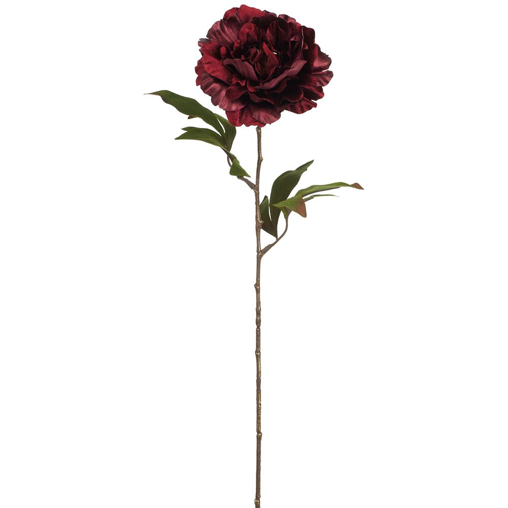 26-inch dark burgundy shimmer velvet peony spray with a long brown stem and green leaves.