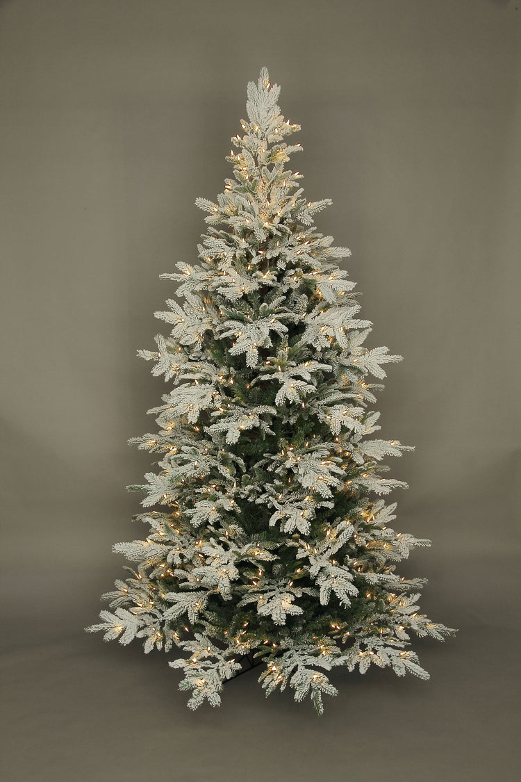 7.5' Rebecca Flocked Noble Fir Tree with 550 warm white LED lights and snowy white branches.
