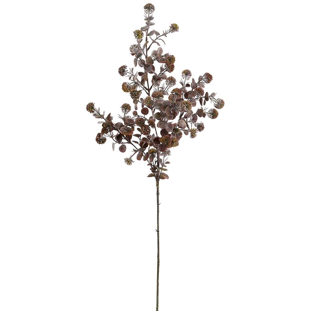 32-inch brown and green thistle spray with textured seed heads and small leaves on a long stem.