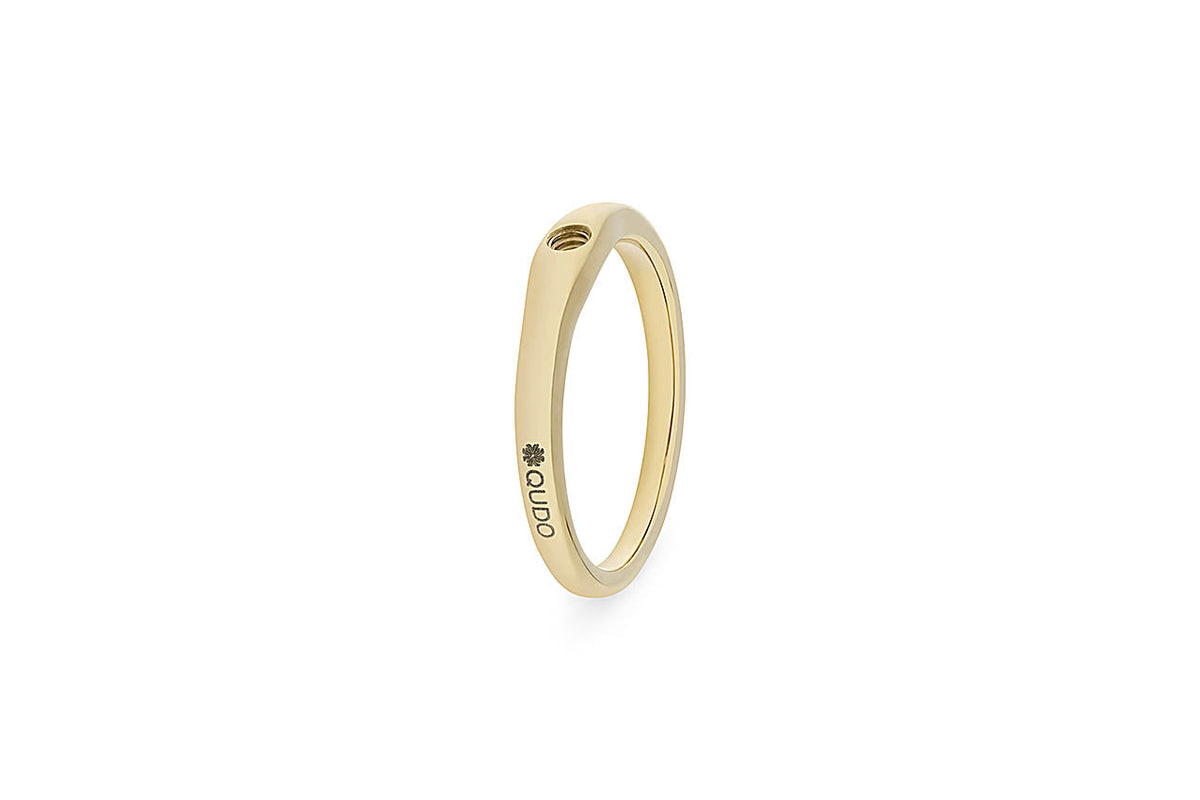 Interchangeable Basic Ring Fine in silver with a delicate band width.