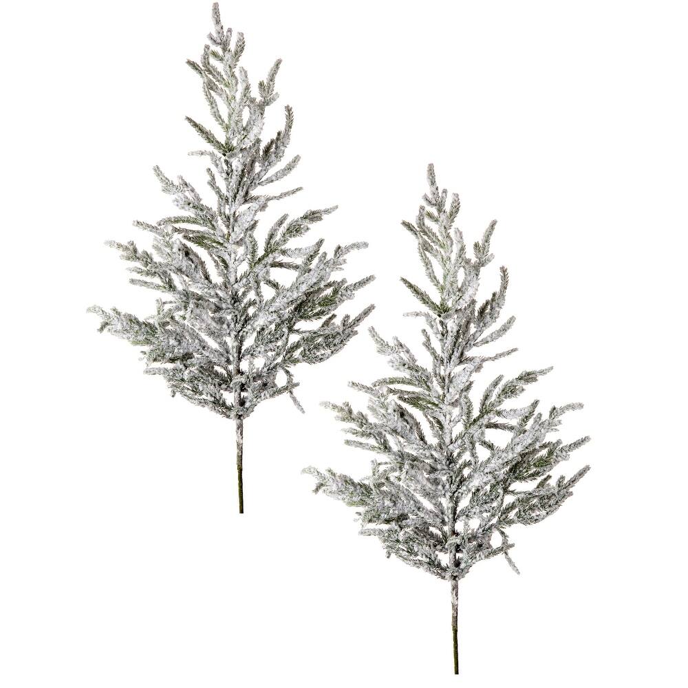 Two 38-inch flocked Norfolk pine sprays with a realistic snowy finish and green needles.