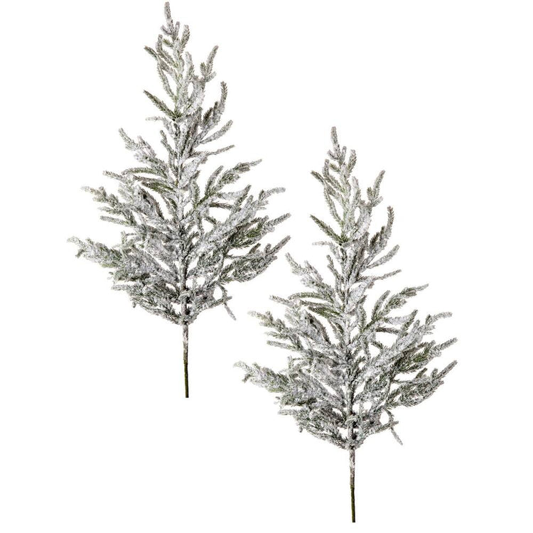Two 38-inch flocked Norfolk pine sprays with a realistic snowy finish and green needles.