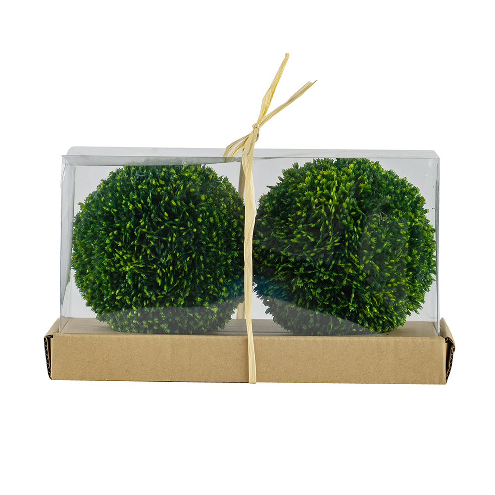 Two green boxwood decorative spheres in a clear plastic box with a brown cardboard base.