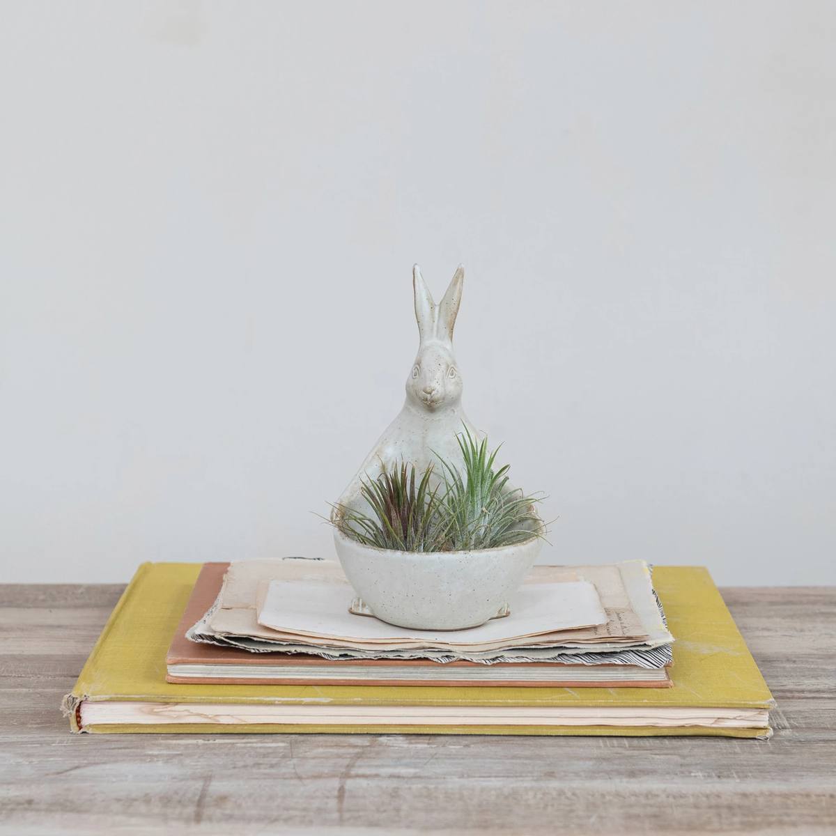 White stoneware rabbit figurine with an attached bowl planter holding air plants on a stack of books