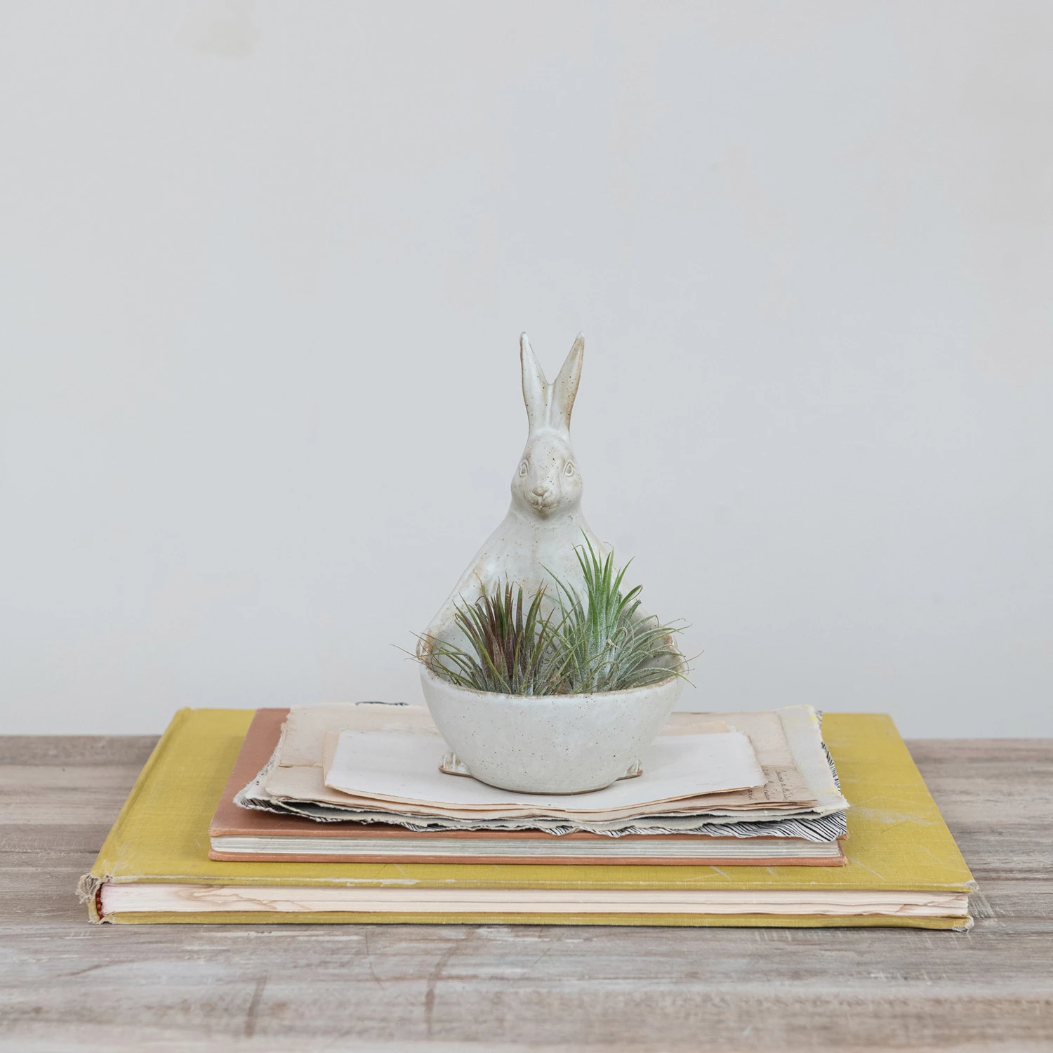 White stoneware rabbit figurine with an attached bowl planter holding air plants on a stack of books