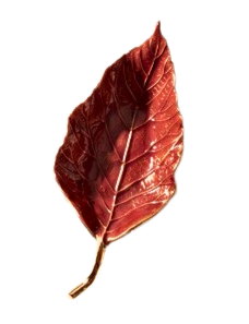 Red leaf-shaped tray with a glossy enamel finish and textured vein detailing.