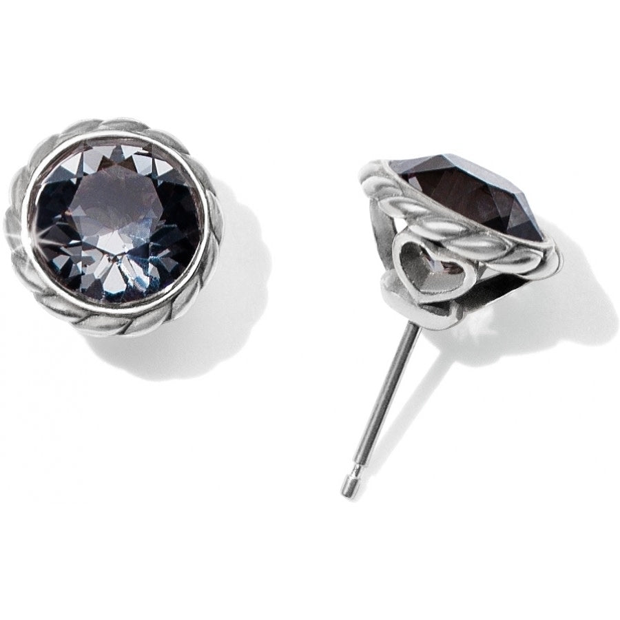 Iris Stud Earrings featuring round dark purple crystals in silver-plated rope-textured settings.