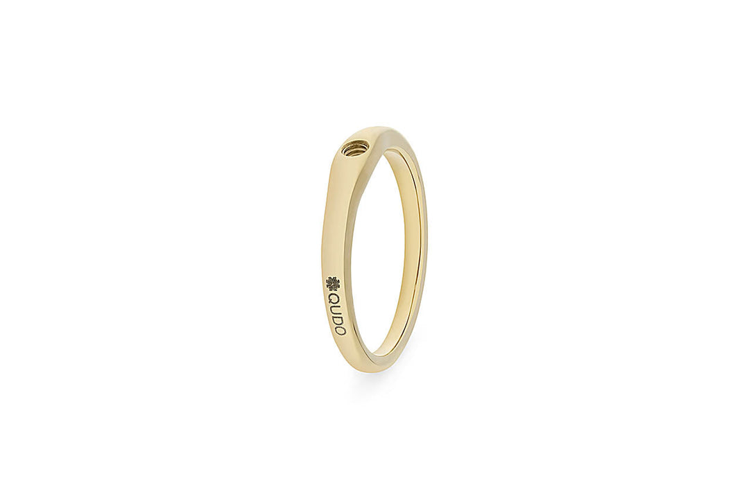 Interchangeable Basic Ring Fine