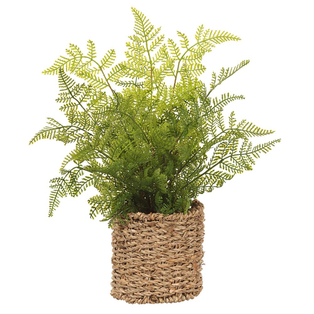 Leather fern planter in basket green with natural woven texture