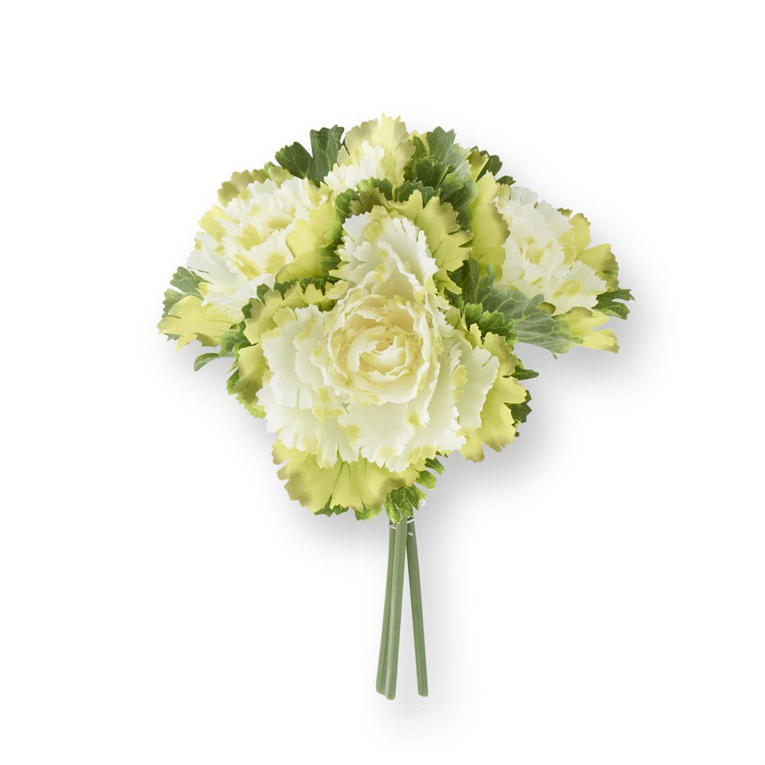 11.5 Inch Cabbage Bundle