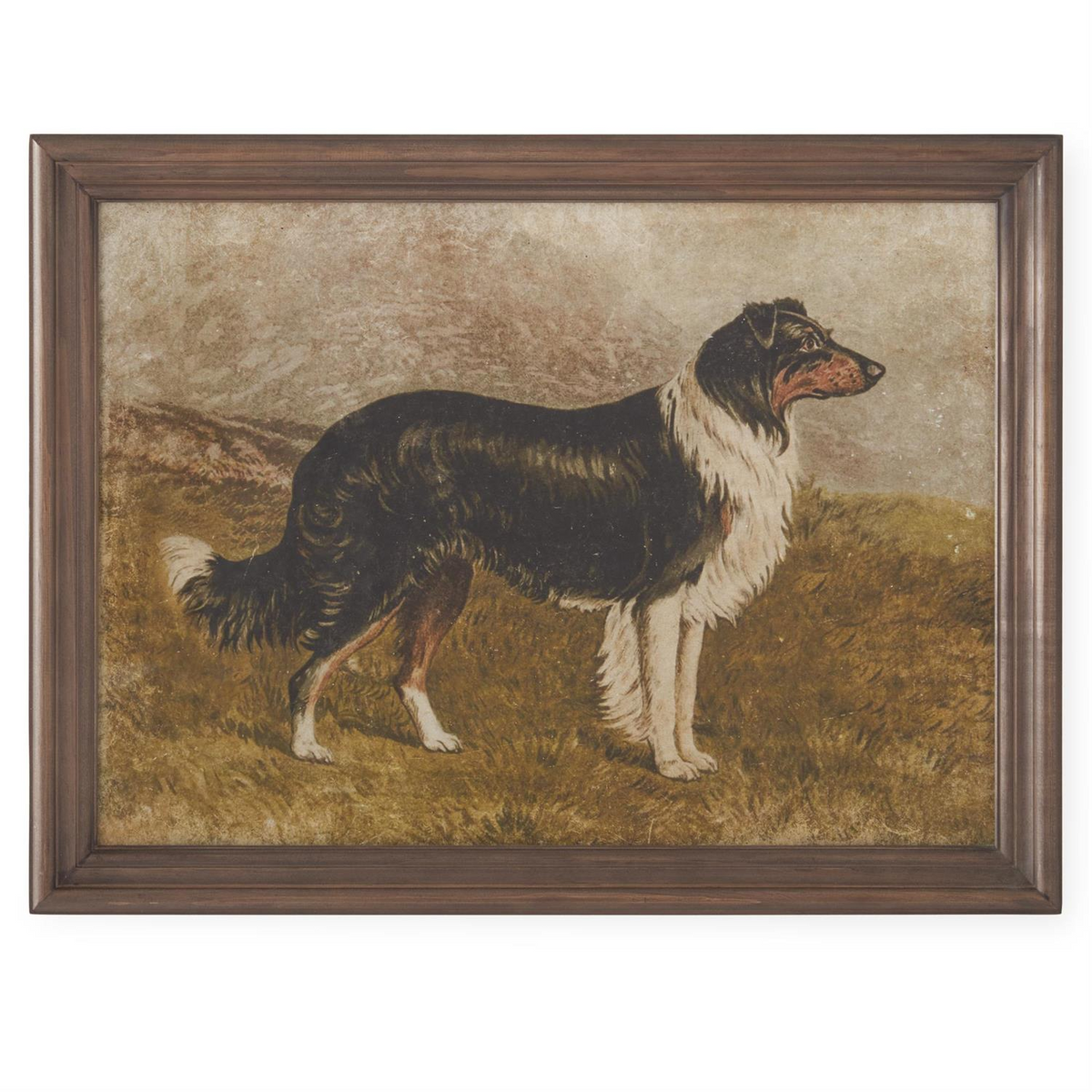 Framed 23.5-inch print of a black and white collie dog standing in a grassy field.