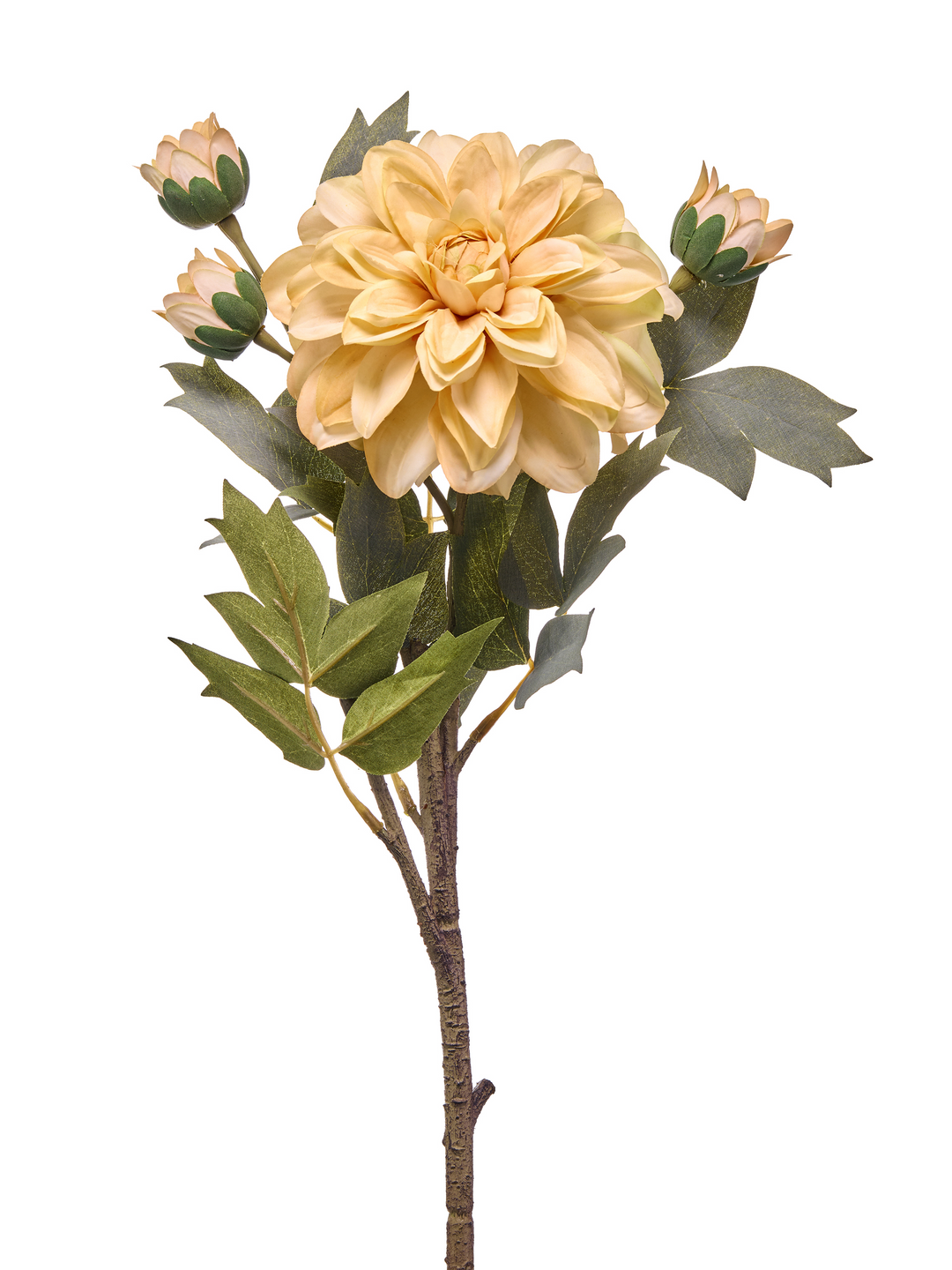 22-inch autumn dahlia spray with a large peach-colored bloom, three buds, and green leaves.