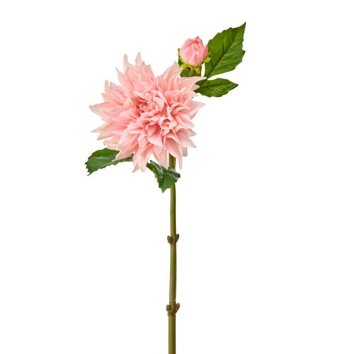 Just Cut Grand Dahlia + Bud floral arrangement in a clear vase with greenery.