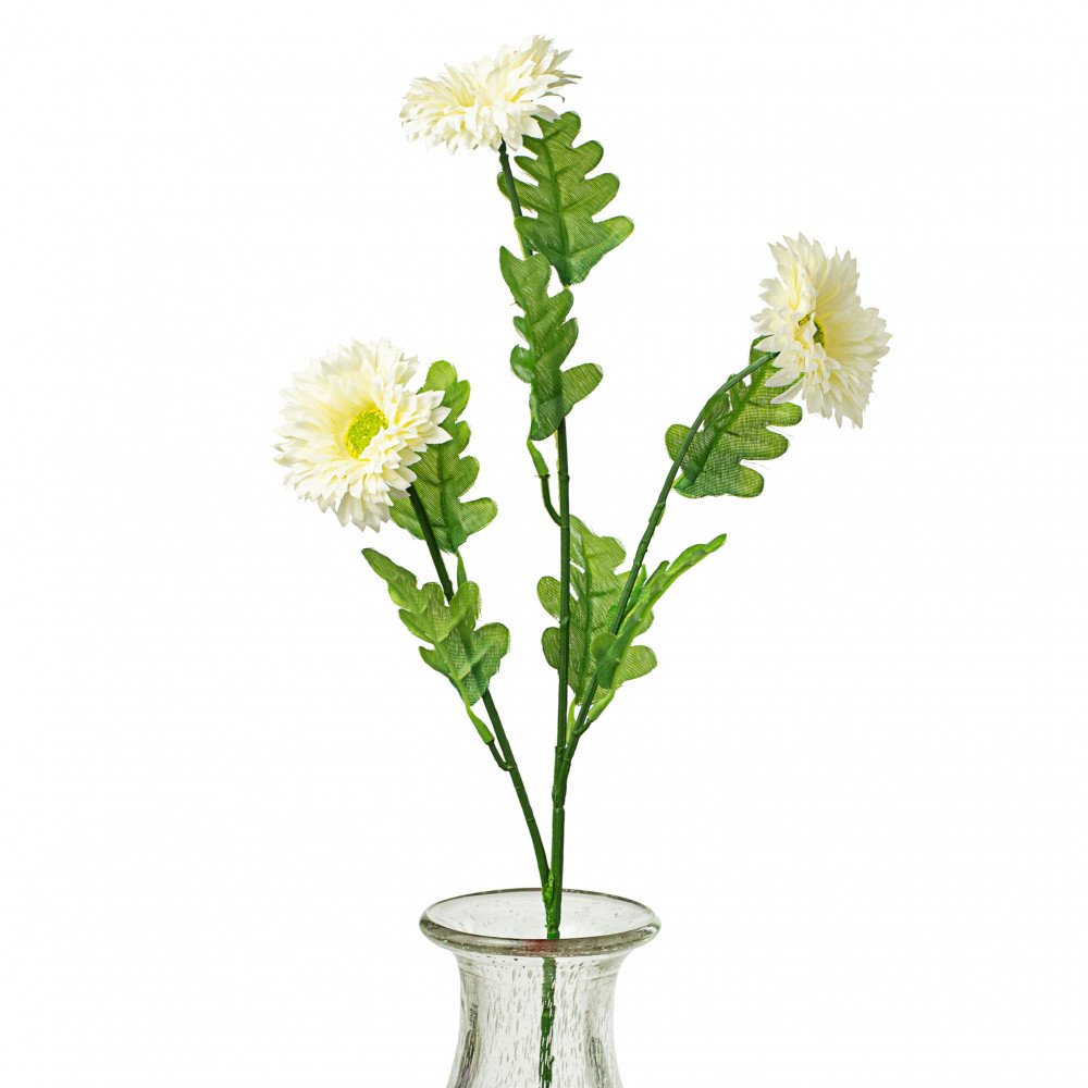 White gerbera daisy spray with green leaves in a clear vase.