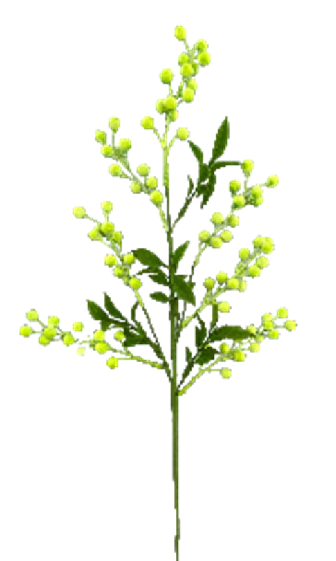 Berry Lvs Spray