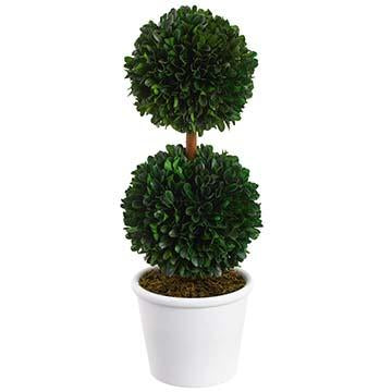 Green preserved boxwood double ball topiary in a terracotta pot