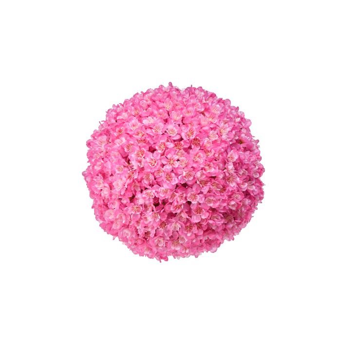 Cherry Blossom Kissing Ball with lush pink floral blooms on a soft white background.