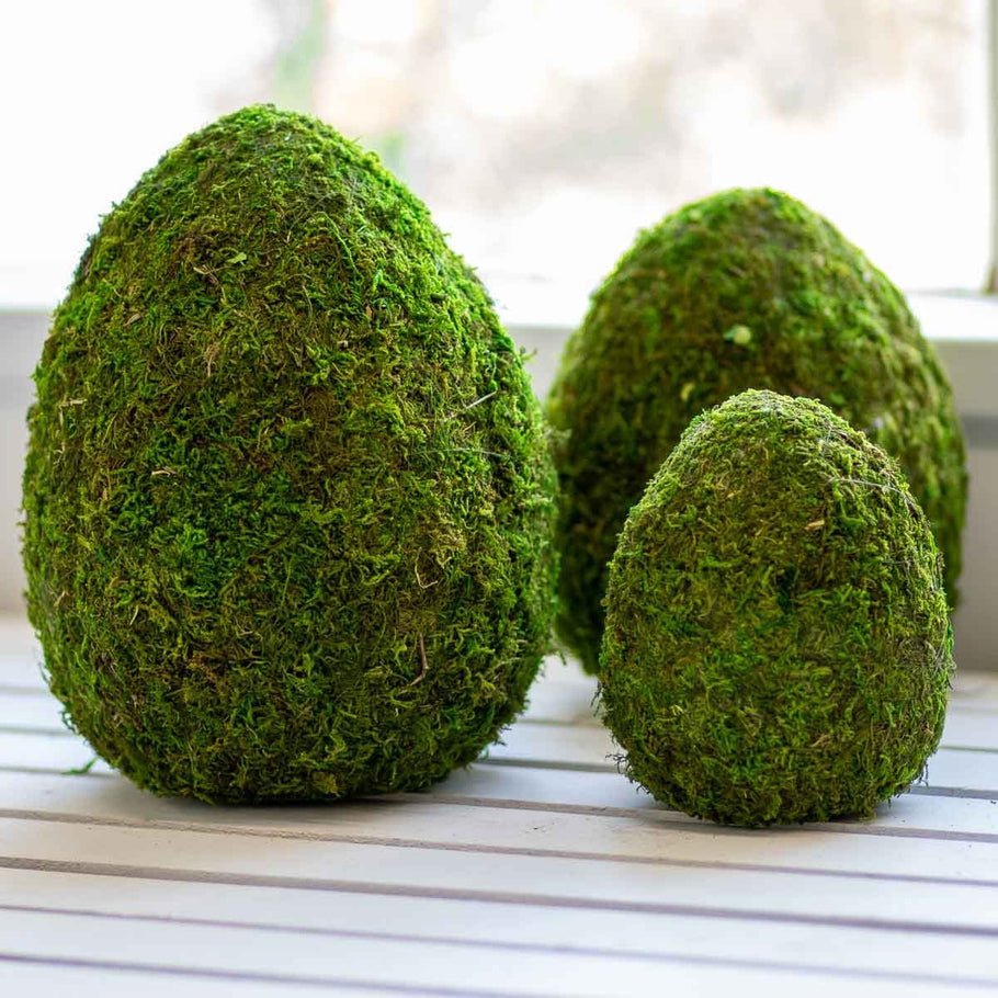 Green moss egg-shaped decorative object with organic texture